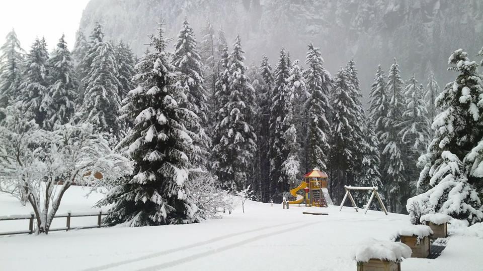 Alpenhotel Panorama Campitello di Fassa Eksteriør bilde